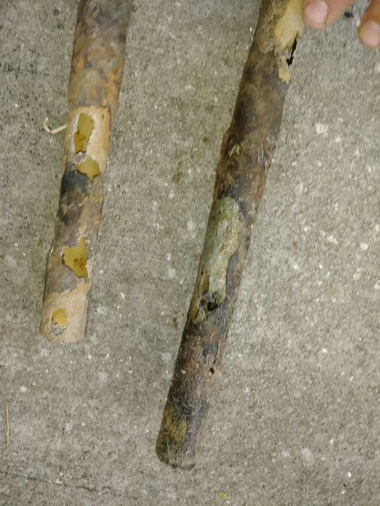 Slide of C Lacey Plumbing