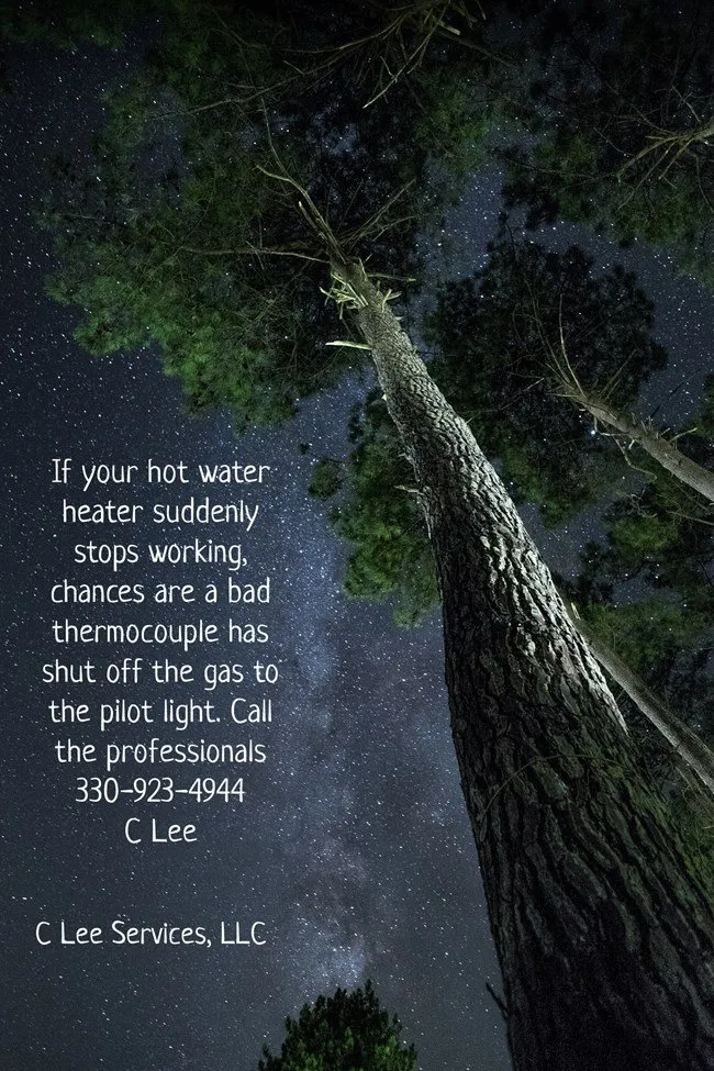 Slide of C Lee Services