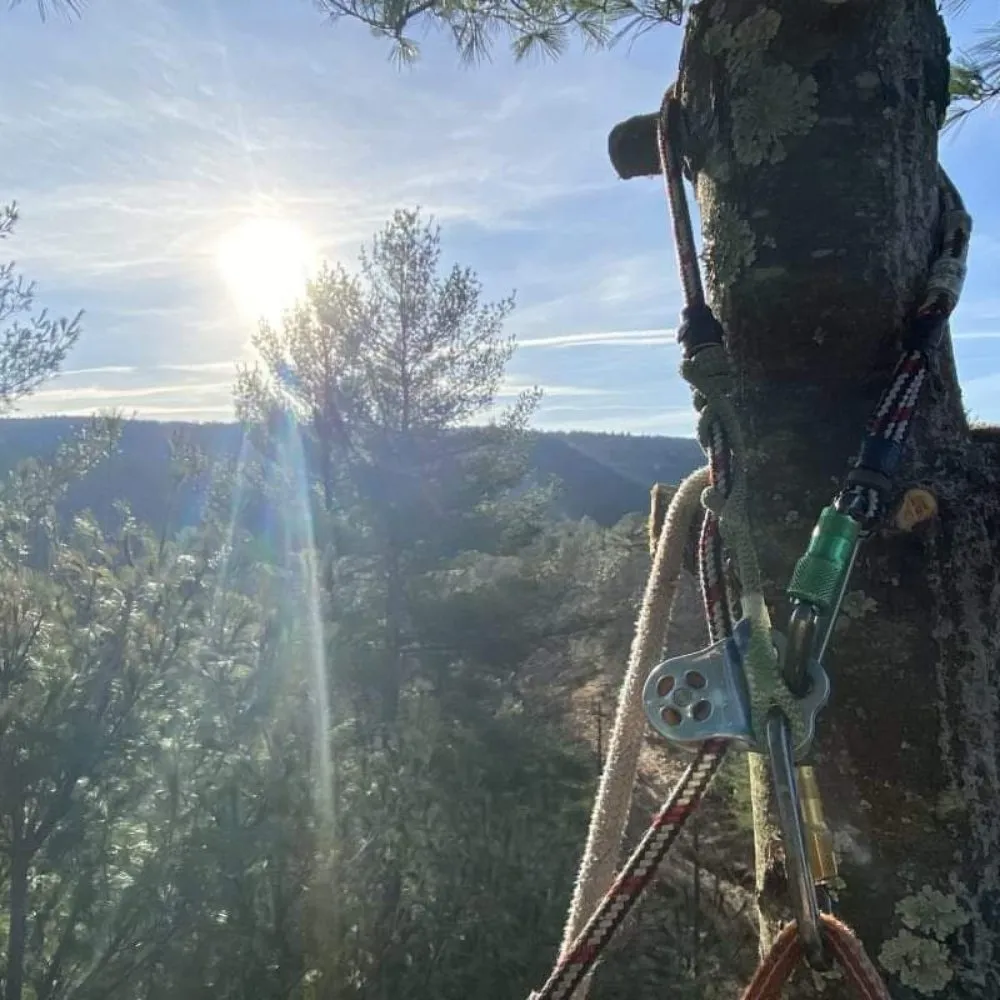 Slide of C P Property Preservation