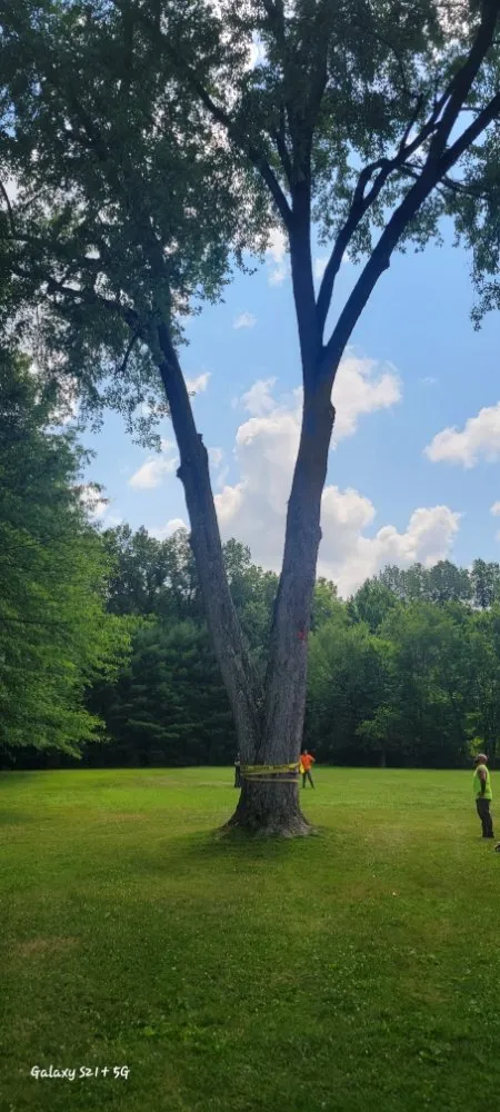 Professional emergency plumbing service in Warren, OH - C P Property Preservation