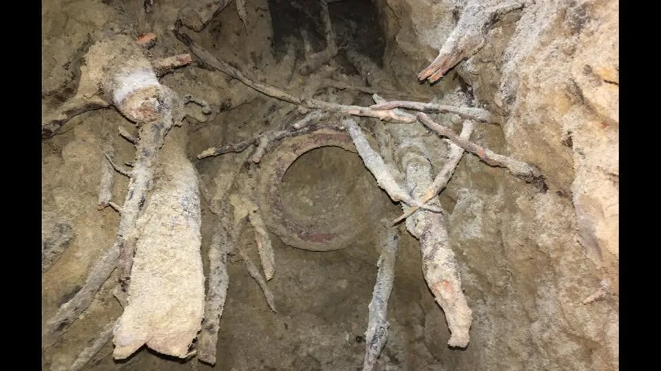 Slide of C-Tippit Sewers & Seepage Specialist