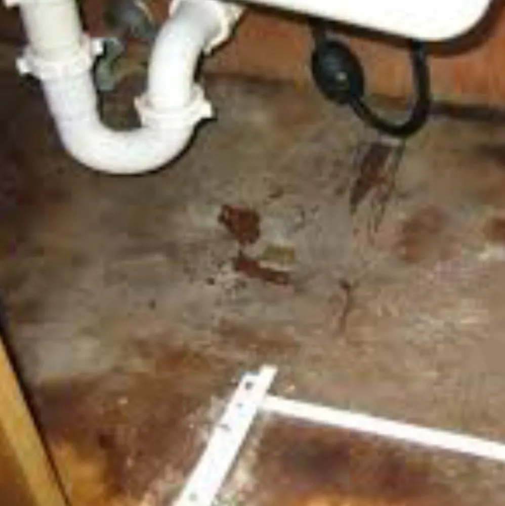 Slide of C-Tippit Sewers & Seepage Specialist