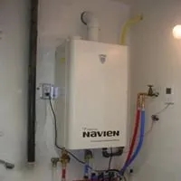 Slide of Cactus Mechanical