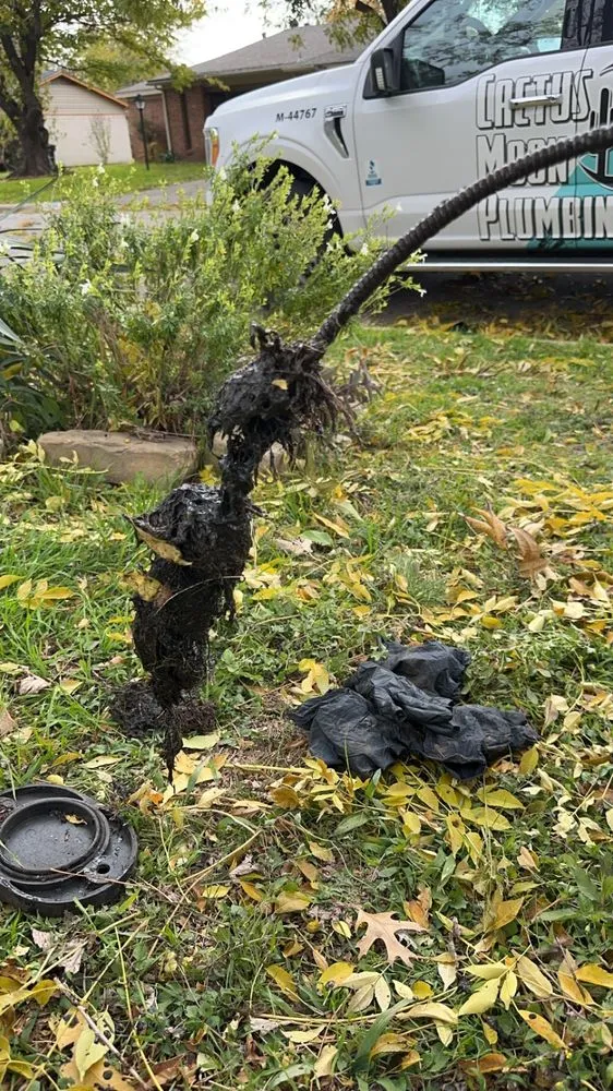 Slide of Cactus Moon Plumbing