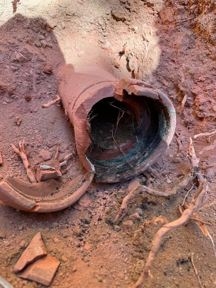 Slide of Cactus Plumbing