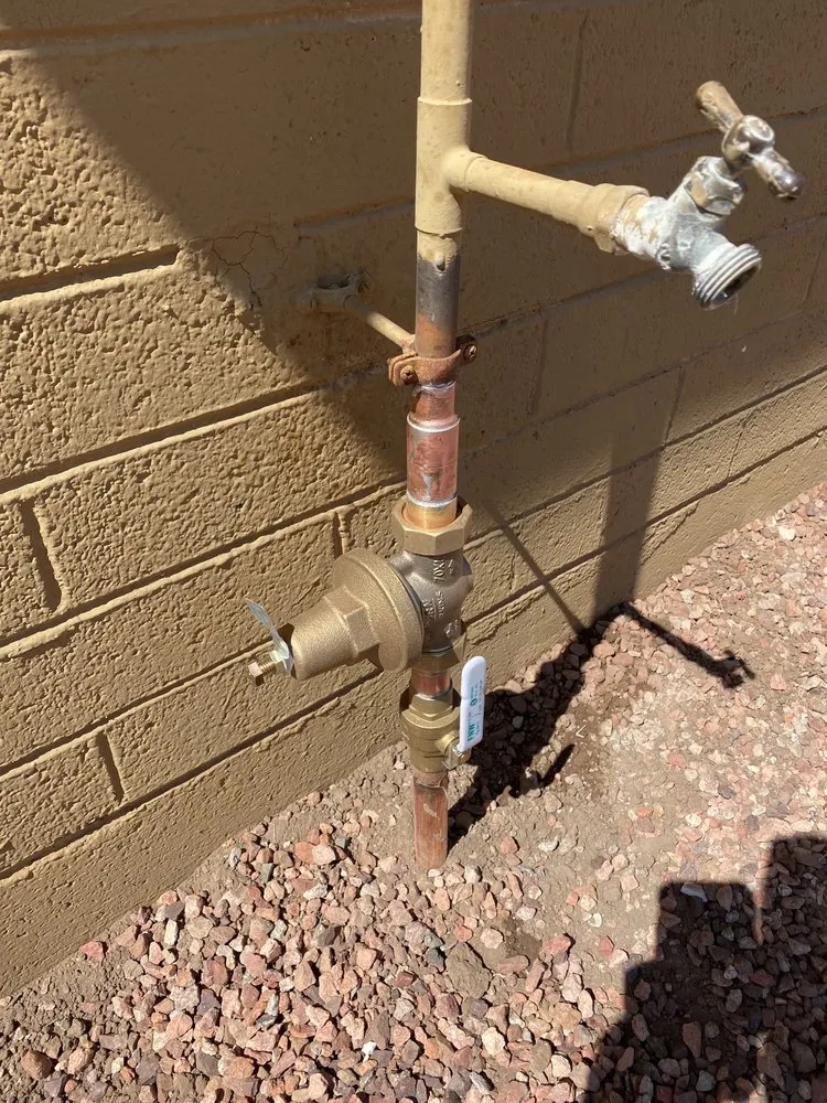 Slide of Cactus Rooter