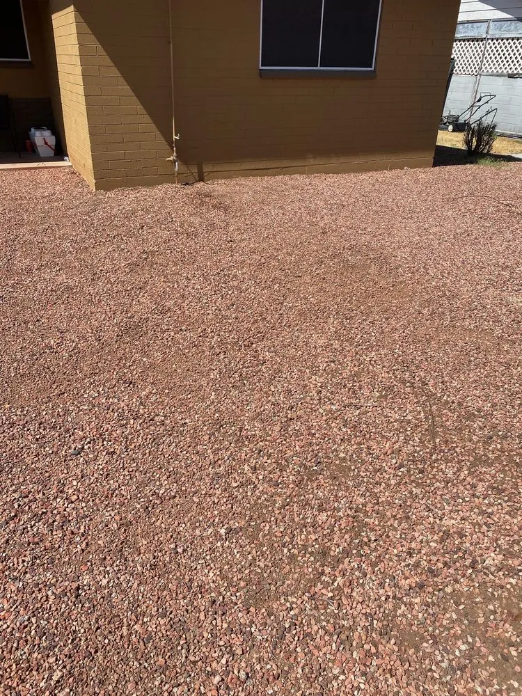 Slide of Cactus Rooter