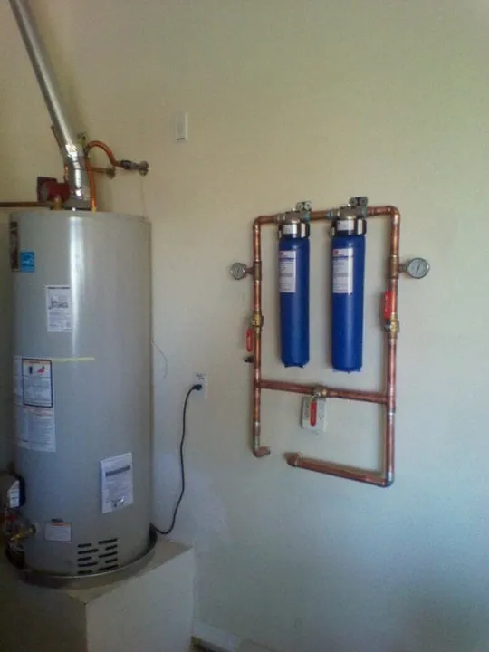 Slide of Cactus Rooter