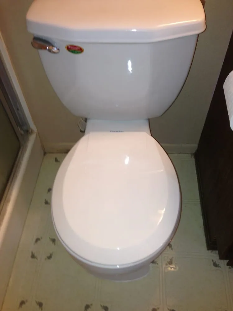 Slide of Cactus Rooter