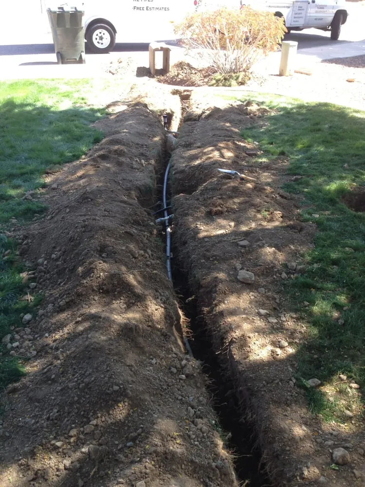 Slide of Cactus Rooter