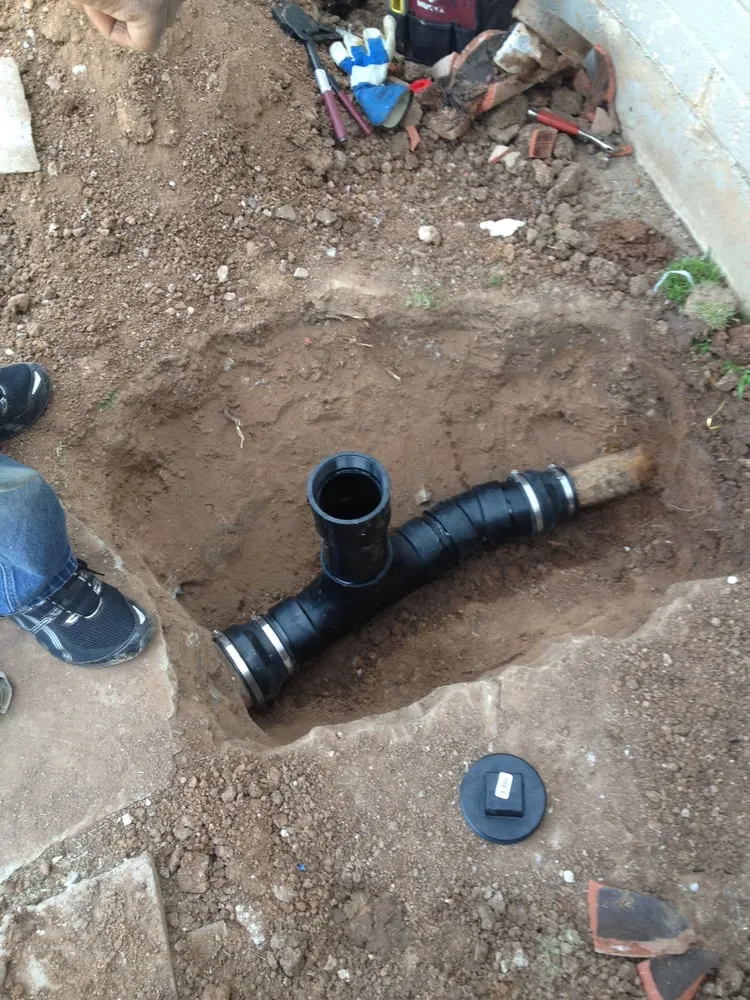 Slide of Cactus Rooter