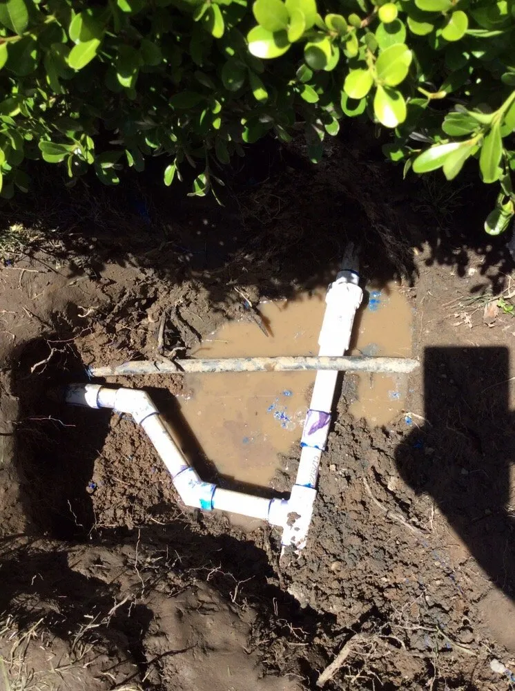 Slide of Caico's Plumbing