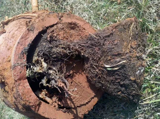 Slide of Cain's Able Plumbing