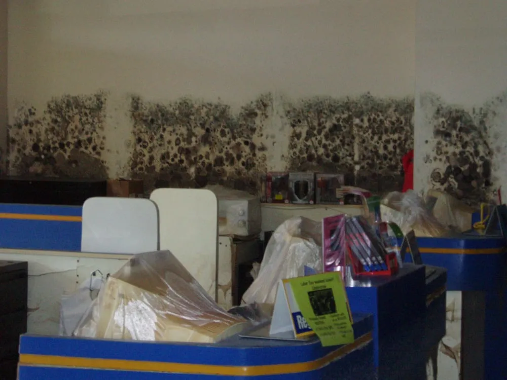 Slide of Cajun Maintenance