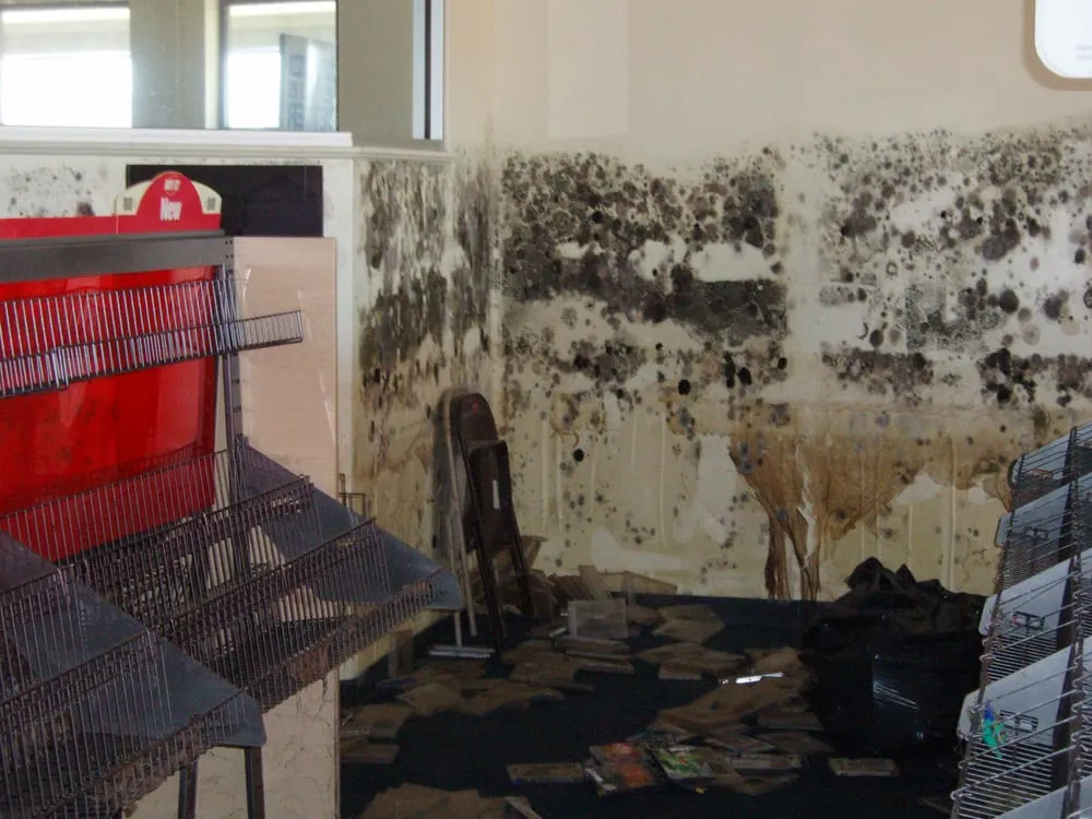 Slide of Cajun Maintenance