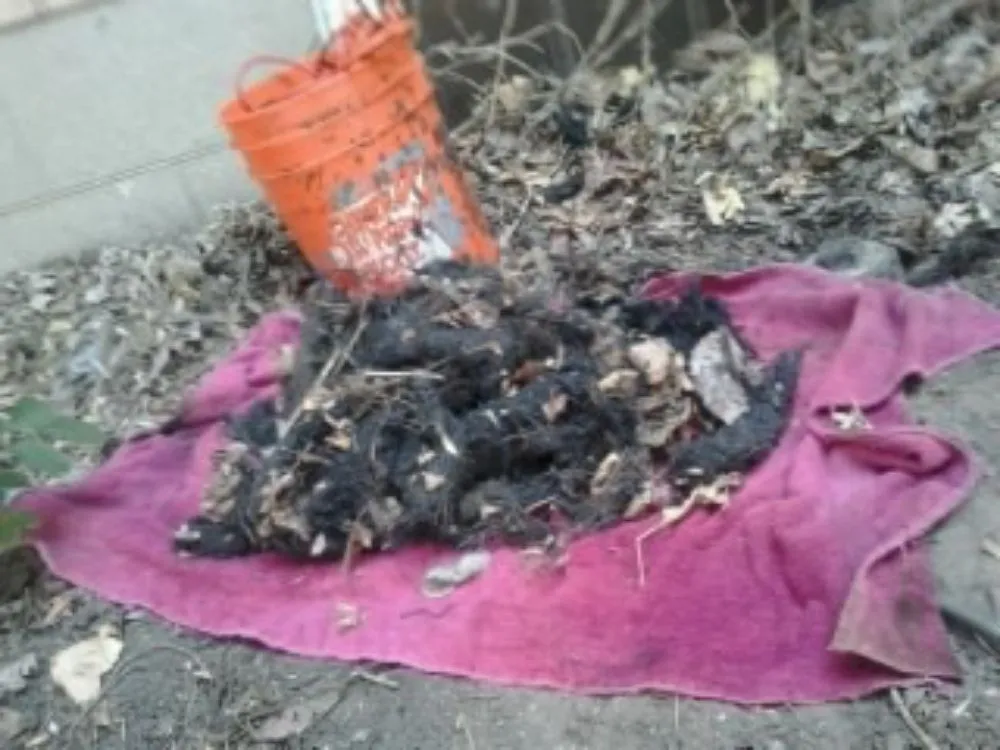 Slide of Calamity Drain