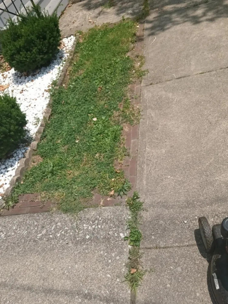 Slide of Caleb Landscaping