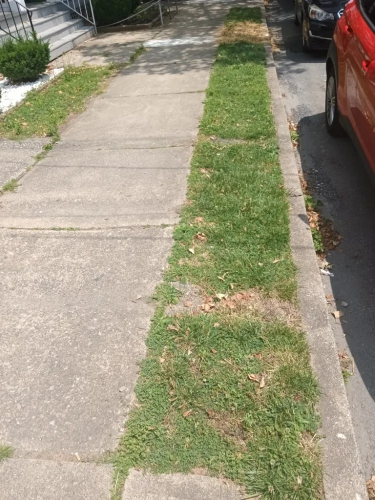 Top-rated emergency plumbing experts serving Nanticoke, PA - Caleb Landscaping