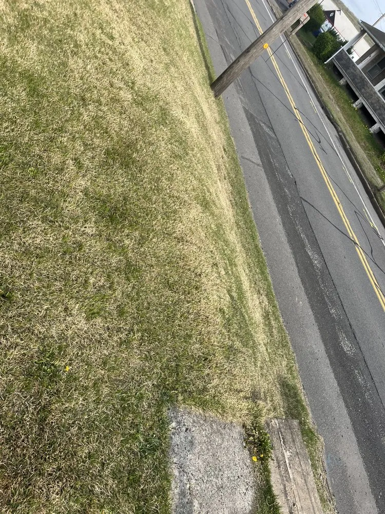 Slide of Caleb Landscaping