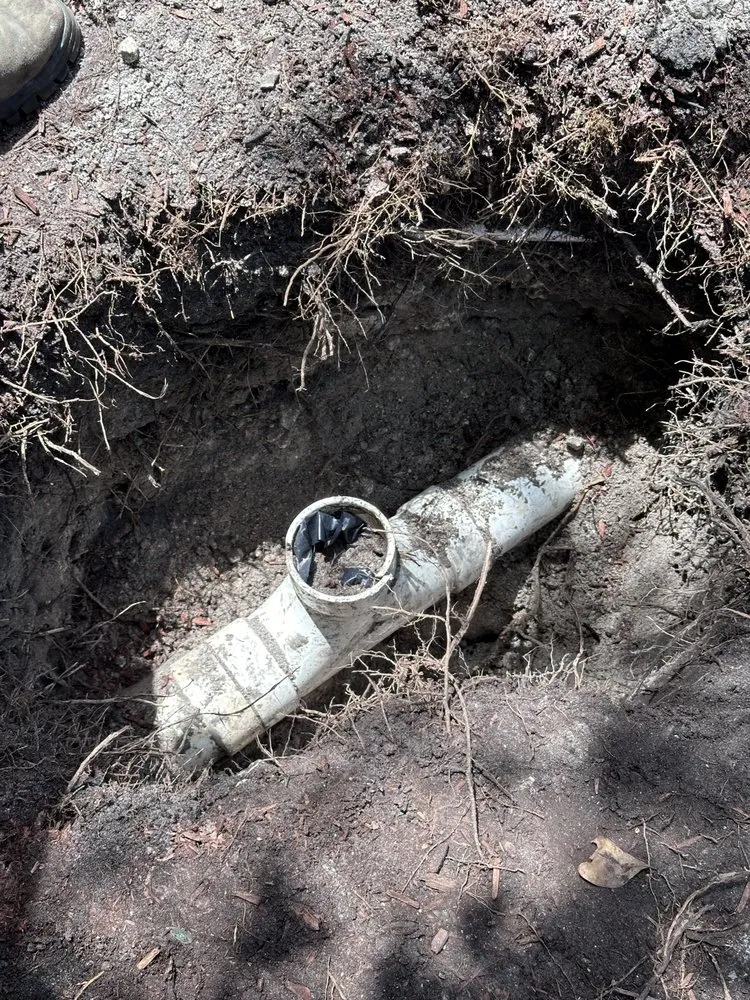 Slide of Caleb Service