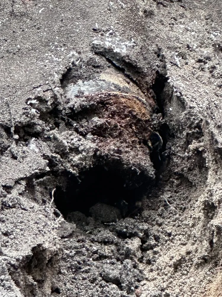 Slide of Caleb Service