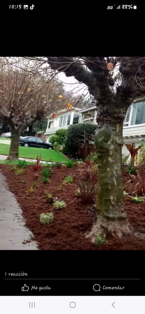 Slide of Cali Handyman Services