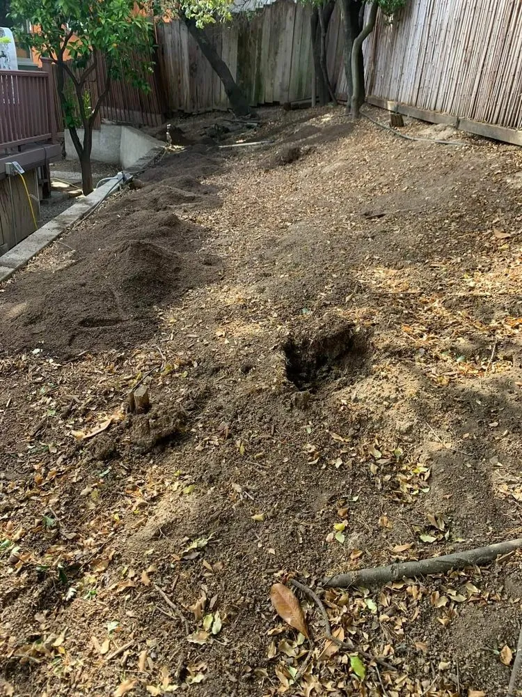 Slide of Cali Handyman Services