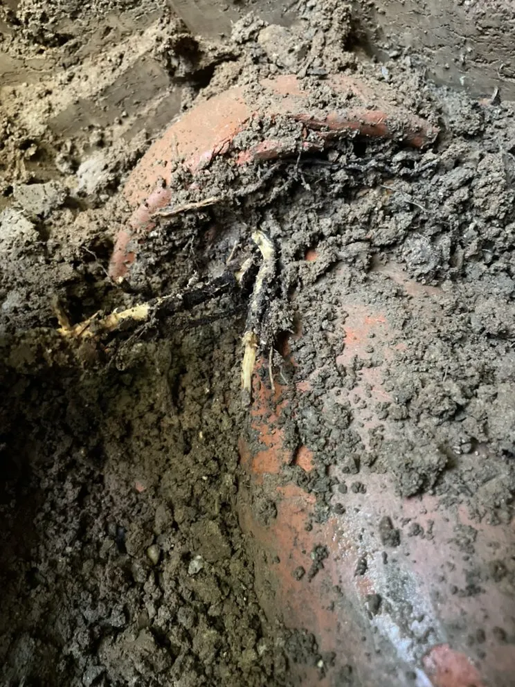 Slide of Cali Sewer & Drains