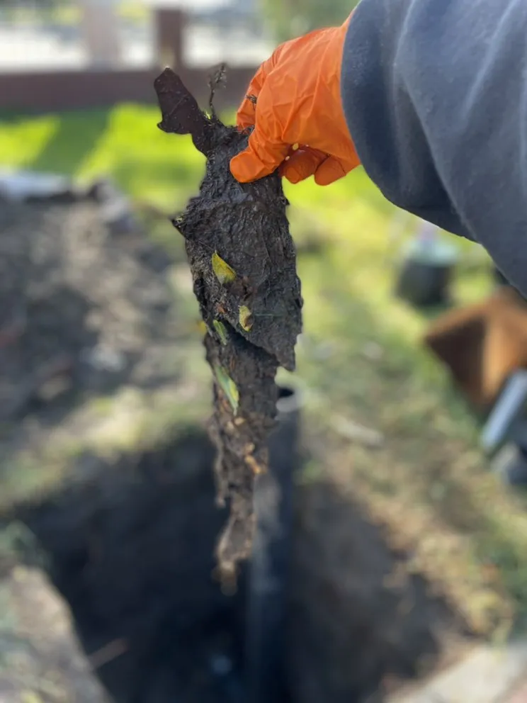 Slide of Cali Sewer & Drains
