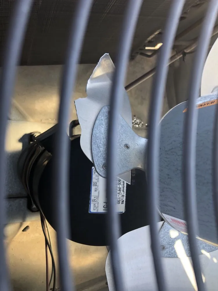 Affordable drain cleaning experts serving Las Vegas, NV - CaliFam Services