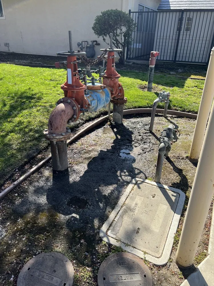 Slide of California Backflow