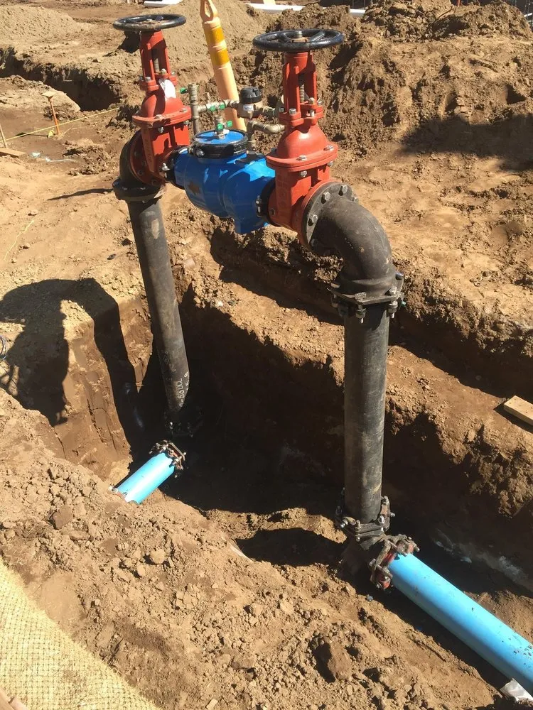 Slide of California Backflow