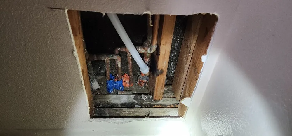 Slide of California Leak Detection Specialists