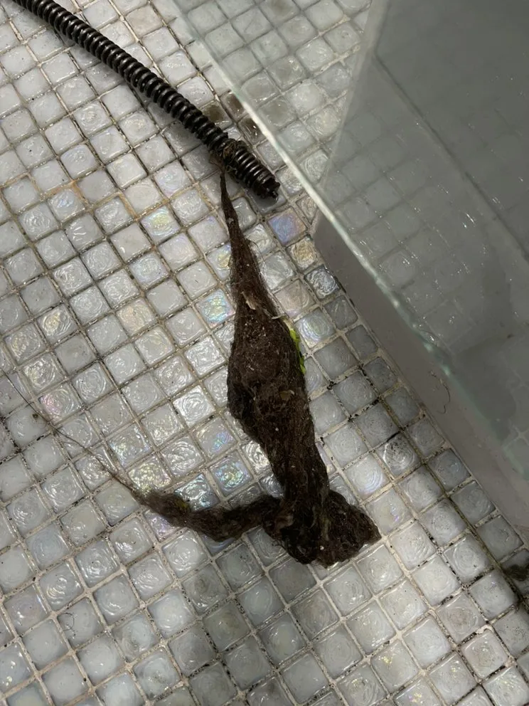 Slide of Calix Plumbing