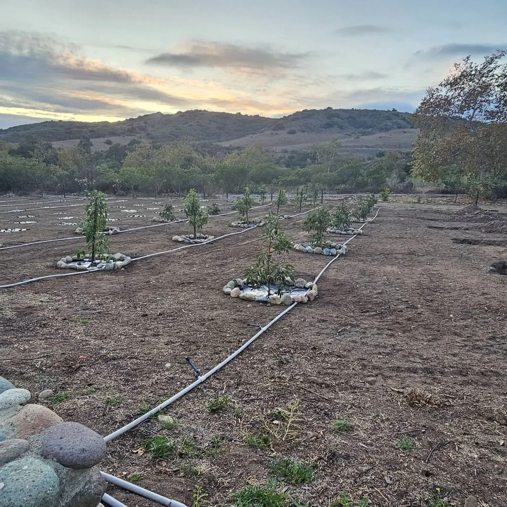 Slide of Call Dad the Handyman