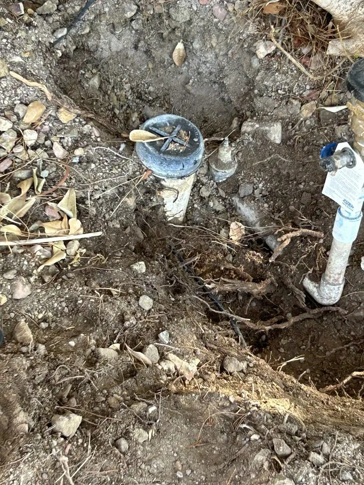 Slide of Call of Dooty