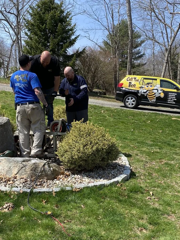 Slide of Call The Bee