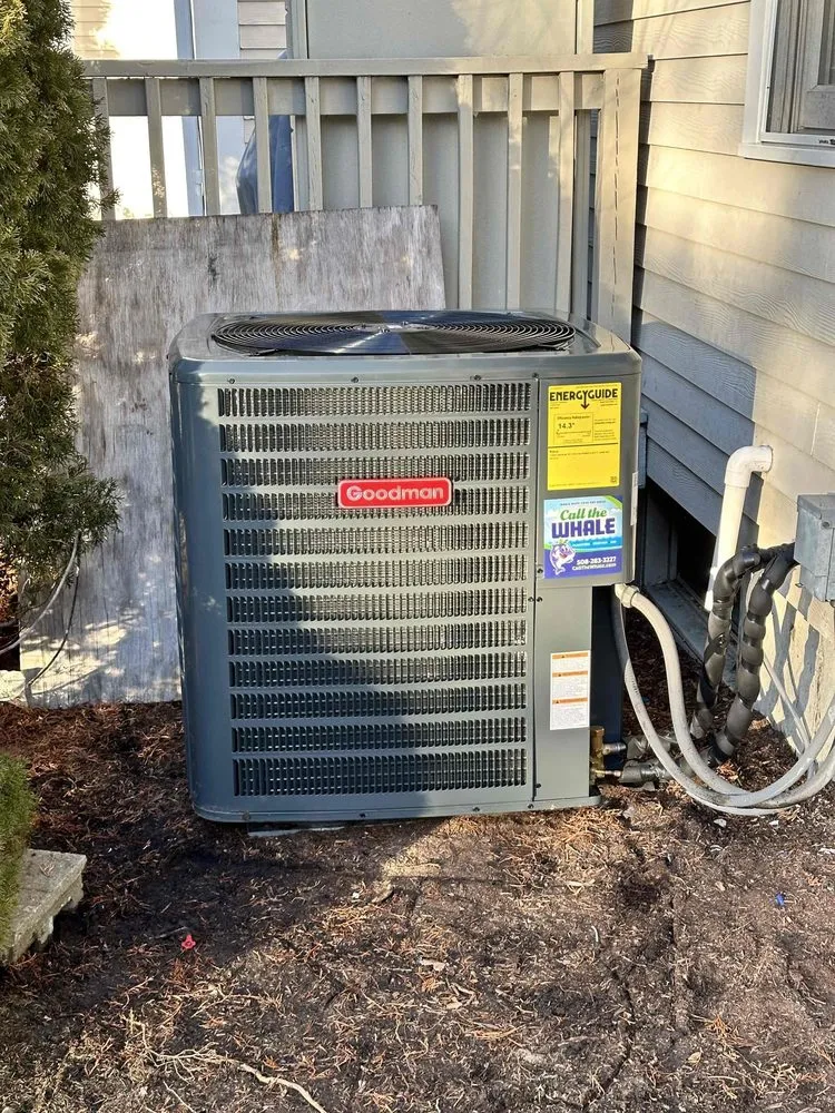 Slide of Call The Whale