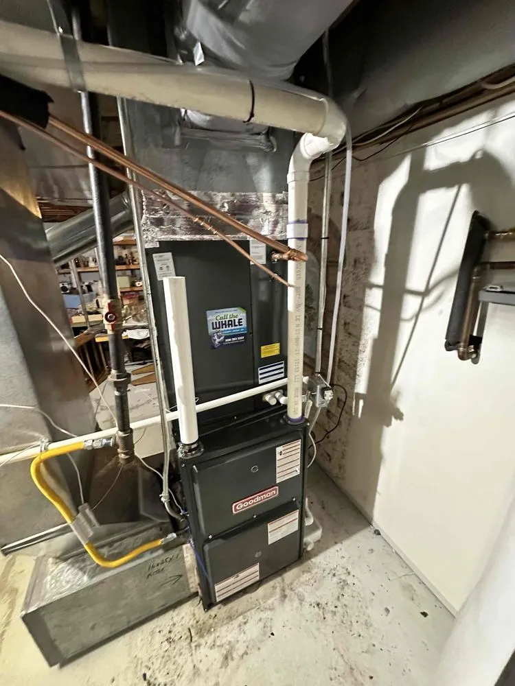 Slide of Call The Whale