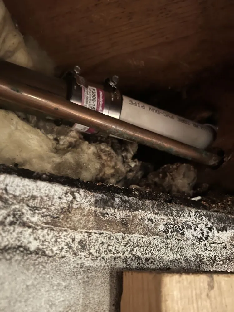 Slide of Cal’s Drain Cleaning