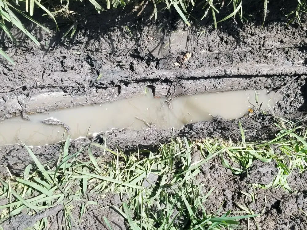 Emergency emergency plumbing in Corp Christi, TX by Calvillo Tunneling Trenching