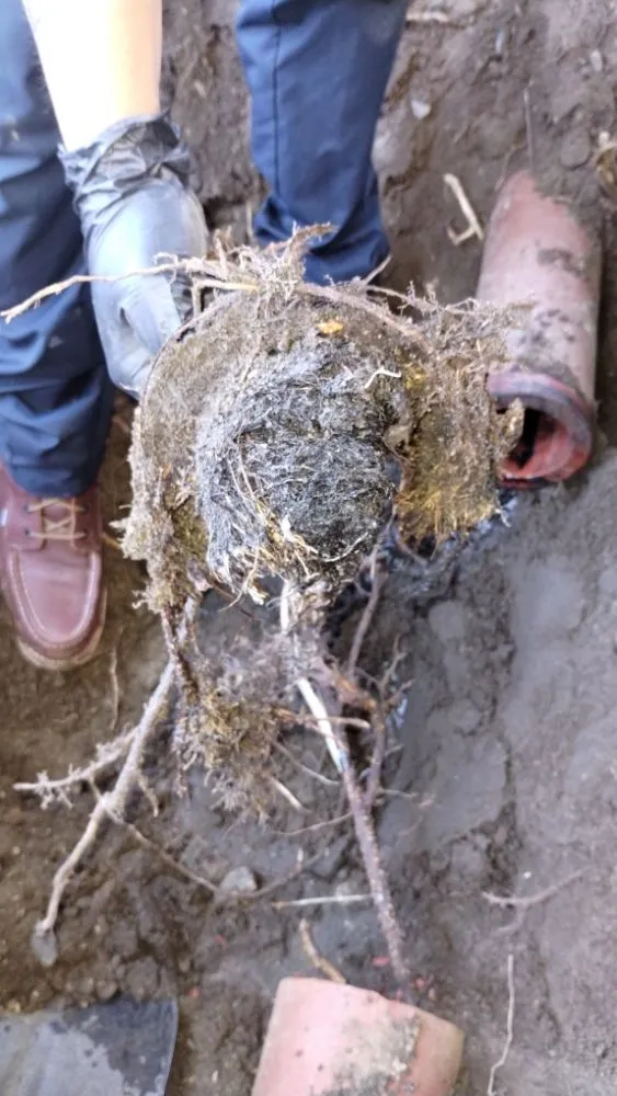 Slide of Camacho's Rooter & Plumbing