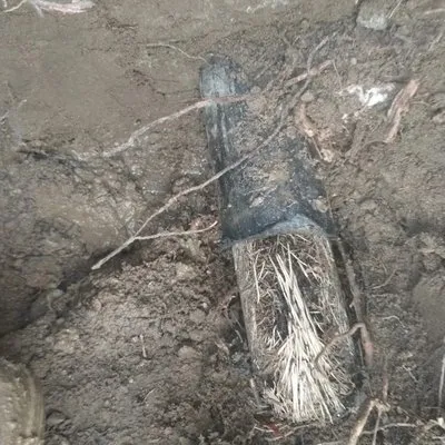 Camacho's Rooter & Plumbing Logo