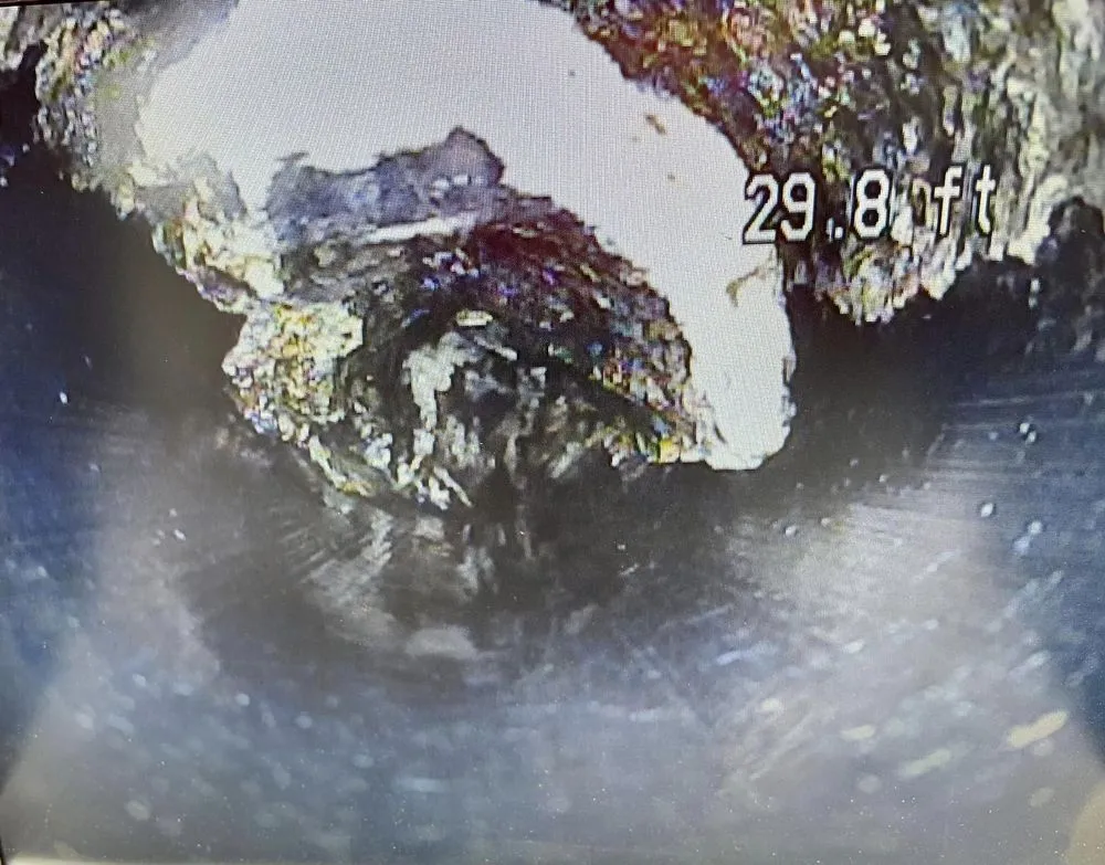 Slide of Camardelle Services