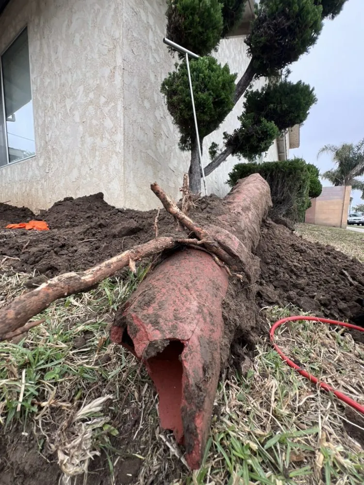 Slide of Camarillo Rooter