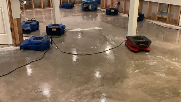 Camelot Emergency Water Removal Logo