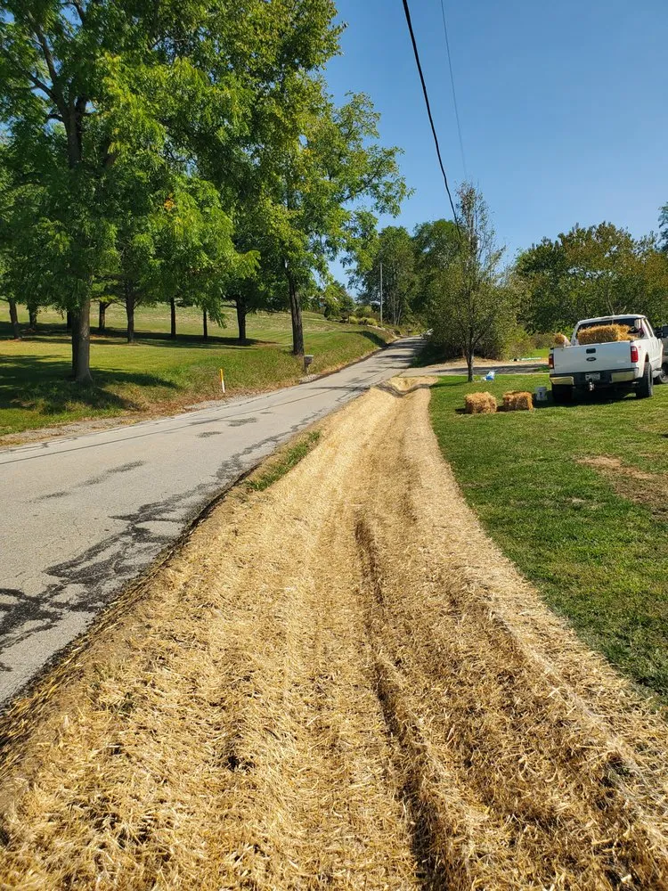 Slide of Campbell Excavation