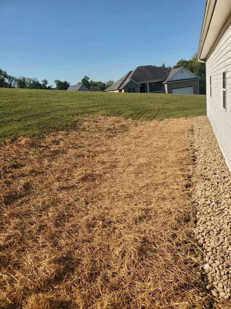 Slide of Campbell Excavation