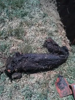 Slide of Canfield's Plumbing