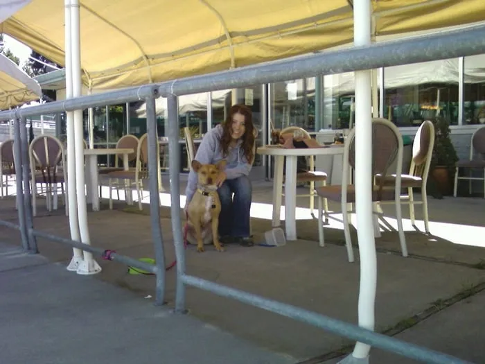 Slide of Canfield's Plumbing